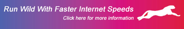 Run Wild With Faster Internet